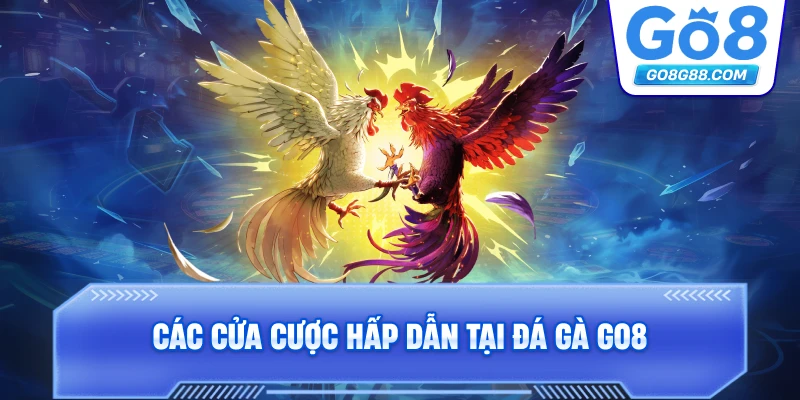 Các cửa cược hấp dẫn tại Đá Gà Go8.